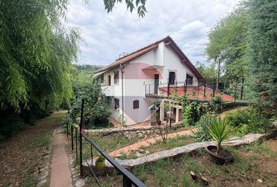 Leamna de sus, casa cu piscina, 2000mp - 5