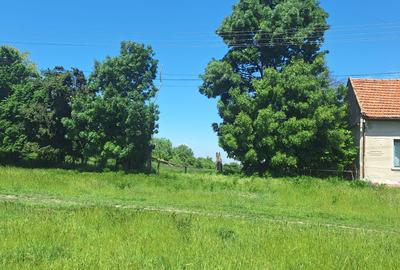 🏡 TEREN INTRAVILAN DE VÂNZARE – CHEVEREȘU MARE 🌳 - 1