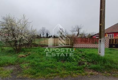 Teren 825 mp Voiteg, front stradal 14 m – ideal casă individuală - 3