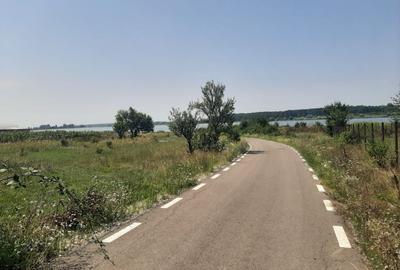 PROPRIETAR Teren stradal ILFOVENI - 7
