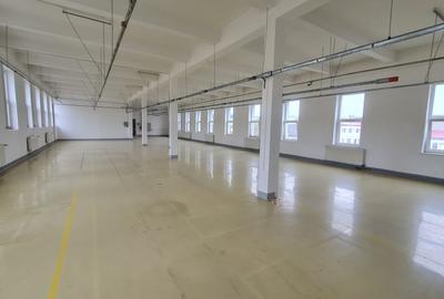 Spații de închiriat – Depozitare | Producție | Birouri Cisnadie - 3