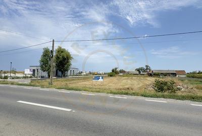 Teren Construcții intravilan de 1450 mp, în Nord