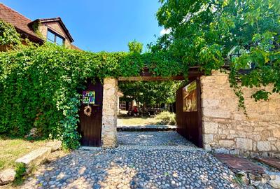 CASA THEA | INVESTIȚIE ÎN TURISM, GASTRONOMIE ȘI EXPERIENȚE | SOCOLARI - 1