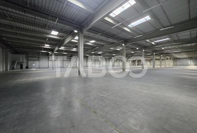 Spatiu industrial 2600mp pe un singur nivel de inchiriat in Sibiu - 3