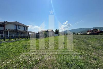 Teren intravilan | De vanzare | 753mp | 15ml deschidere | Alba-Micesti - 2