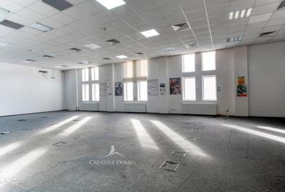 Birou, de 312 mp, în Gorjului