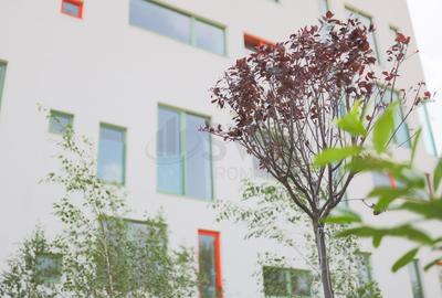 REA1026686 Apartament 2 camere ideal pentru investitie - Finisaje premium - Vede - 14