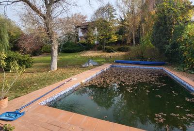 Vila lac snagov in cea mai buna portiune a lacului, ponton, garaj barca, piscina - 36