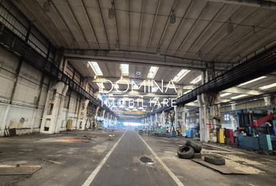 Inchiriere complex industrial versatil *hale - birouri - platforme betonate* - 6
