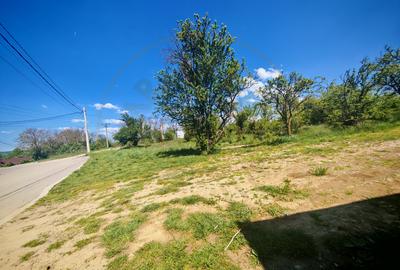 Teren intravilan în Mioveni pentru casă ideală - 3