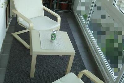 Garsonieră decomandată, mobilată în Alexandru cel Bun