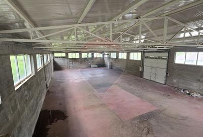 Hala de productie 540mp de închiriat în Borsa pe DN 18 spre Complex - 6