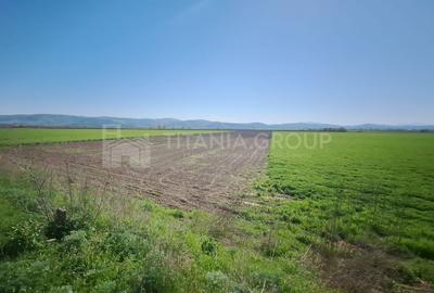 Teren de 8700 mp - extravilan - Bod, Brasov - 3