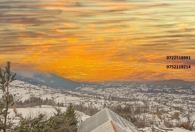 Vila deosebita la munte, Bran, Brasov - 5