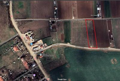 Teren de vanzare pentru case/ parcele- Caracal, str. Artarului - 1