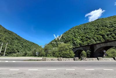 Restaurant-Pensiune de vanzare, Raul Vadului, Sibiu, Valea Oltului - 12