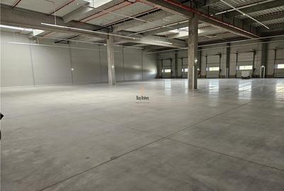 Spatiu Industrial - 2500 mp - Productie - Depozitare - Distributie - 9