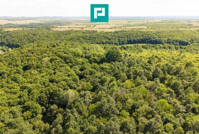TEREN AGRICOL EXTRAVILAN  22.900 MP LIPOVA - 13