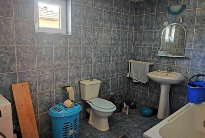 Casa individuala, Mitocul Dragomirnei, C-5337 - 6