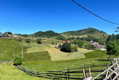 TEREN INTRAVILAN, 1380MP, FUNDATA - 3