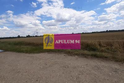 Teren 715mp în Snagov lângă Equestria - 7