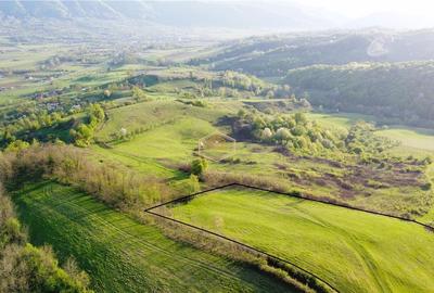 Teren de 9.500 mp in Maramures | Varf de deal, priveliste de pus in rama | Retre - 3