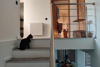 CASA  noua, Cornetu, aproape de Bucuresti - 8