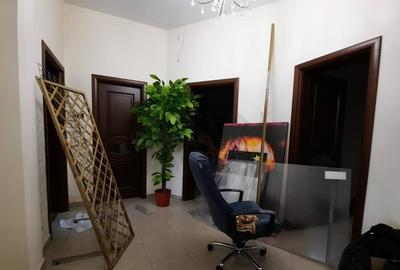 REV0017192 Piata Victoriei - VIla interbelica cu gradina - 10