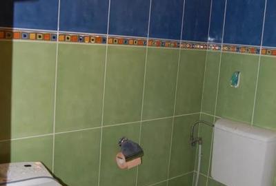 Apartament 2 Camere | Decomandat | Tineretului - 8