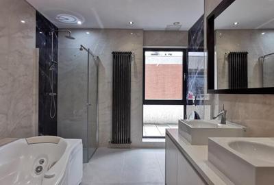 Dorobanti Penthouse supr. 235mp terasa 130mp - 12