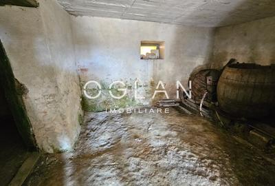 Casă individuala 3 camere, 1294 mp teren, Șeica Mare - 15