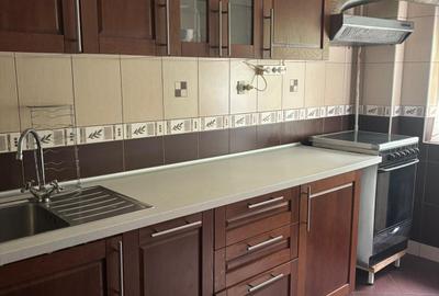 Timpuri Noi-Calea Vacaresti-apartament 4 camere - 14