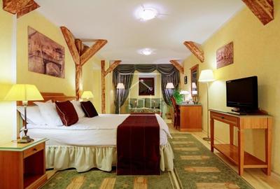 Hotel de inchiriat Piata Mica Sibiu | Afacere turistica activa - 12