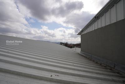 Platformă comercial–industrială cu venit activ || Macin - Tulcea - 16