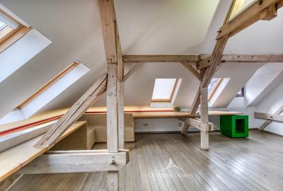 Spatiu de birouri in vila - Decebal - 7