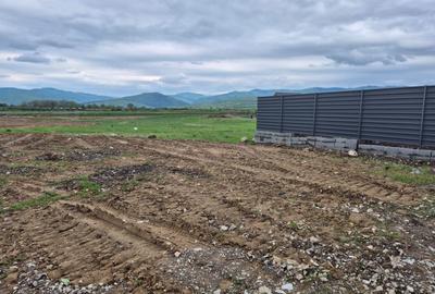 Teren intravilan 1450 mp – Carpiniș , Ideal pentru casă de locuit - 13