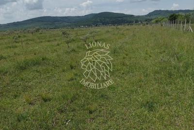 Teren 23700 mp (2,37 ha)-ideal investitie,cabana-Sesul Jelnei - 2