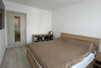 Apartament 2 camere Dristor Rebreanu Park Lake - 13