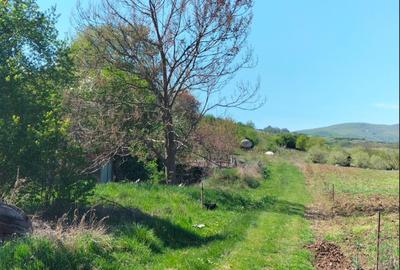 Teren Construcții intravilan de 2000 mp, în Nord-Est