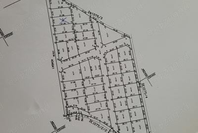 617 mp. teren-Remetea Mare - 1