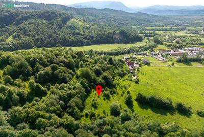 Teren cu vedere superba spre Cheile Rasnoavei, 8800 mp, la marginea pădurii - 3