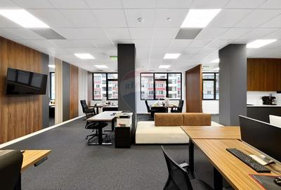 Spațiu de birouri ultramodern, Piața Victoriei - 1