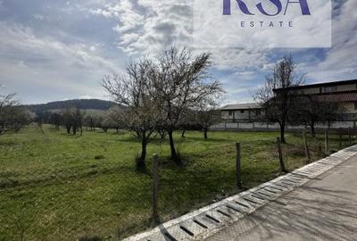 Teren 10.000 Mp Intravilan/Extravilan Livada De vanzare Bunesti Valcea - 2