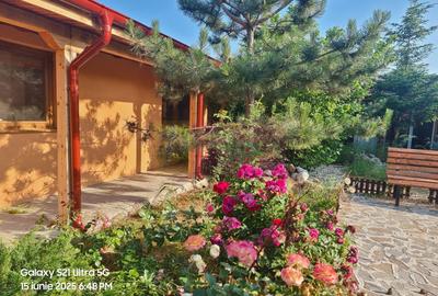 VANZARE CASA OASPETI + ANEXE IN  SAT TEISORI (JUD. GIURGIU) - 40