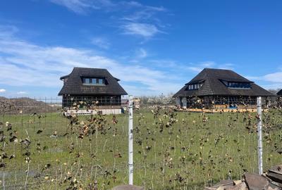 Proprietar vând teren intravilan în satul Runcu comuna  Dascalu - 11