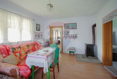 De vânzare casă cu teren și pădure 55706 mp - Șinteu, Valea Târnei - 12
