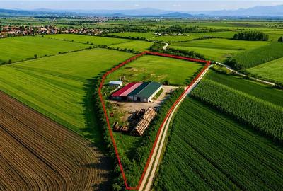 FILM! 18.000 mp, extravilan, agricol+ constructii:ferma,investitii agricole, Rot - 2
