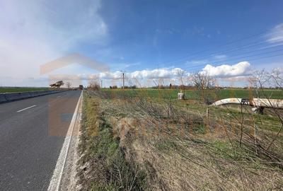 Teren 18.000 mp de vanzare, DN -Stația Meteo spre Valu lu Traian - 5