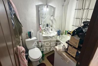 Apartament cu 1 camera de vanzare, izolat, zona Soarelui, Timisoara - 5