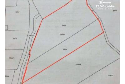 Teren intravilan de 8.000 mp – Oportunitate strategică lângă centura - 4
